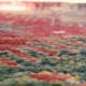 close up of red rug